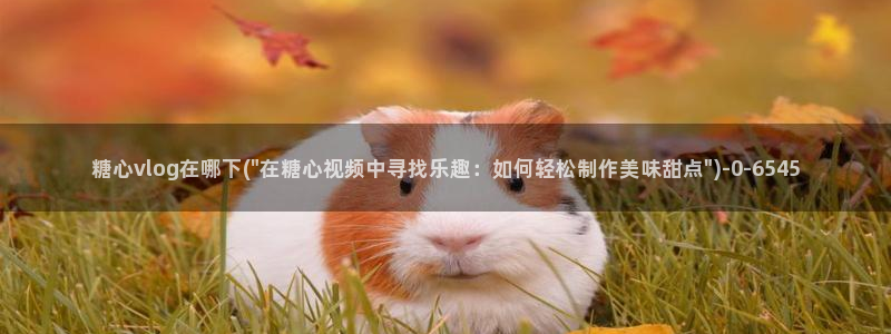 糖心vlog在线网址：糖心vlog在哪下(\
