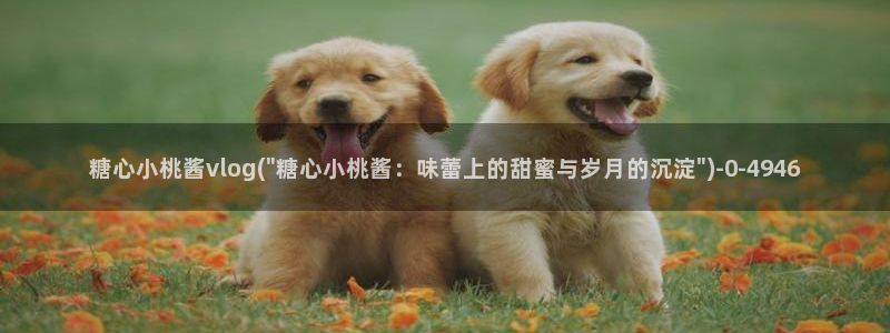 糖心米娜vlog：糖心小桃酱vlog(\