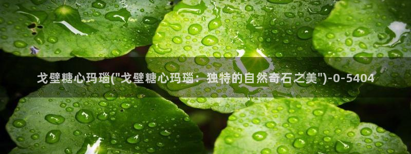 心糖vlog 网站：戈壁糖心玛瑙(\