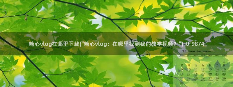 心糖vlog官网入口