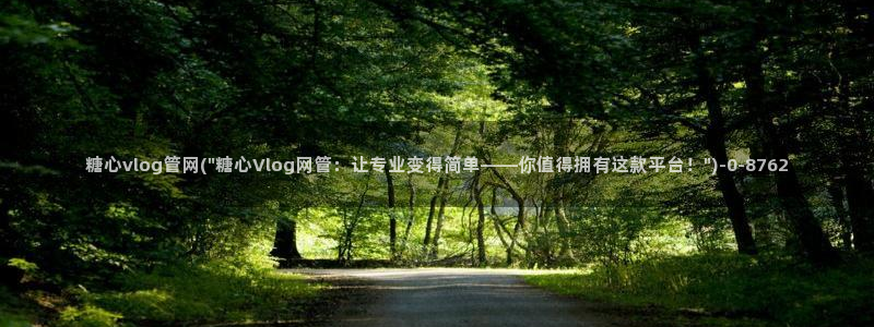 糖心vlog在线观看播放