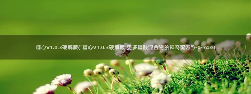 糖心vlog在哪下
