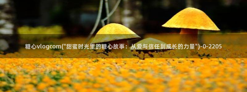 糖心vlog下载入口